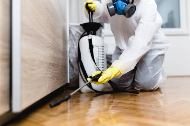 Best Pest Prevention Services  in Governors Village, NC