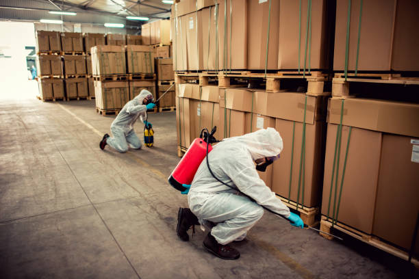 Best Pest Removal Services  in Governors Village, NC