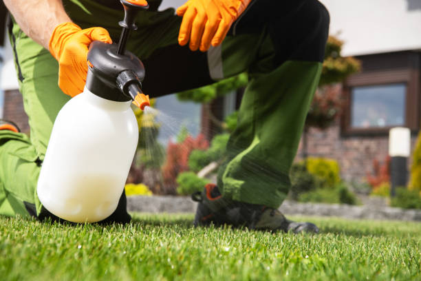 Best Affordable Pest Control Services  in Governors Village, NC