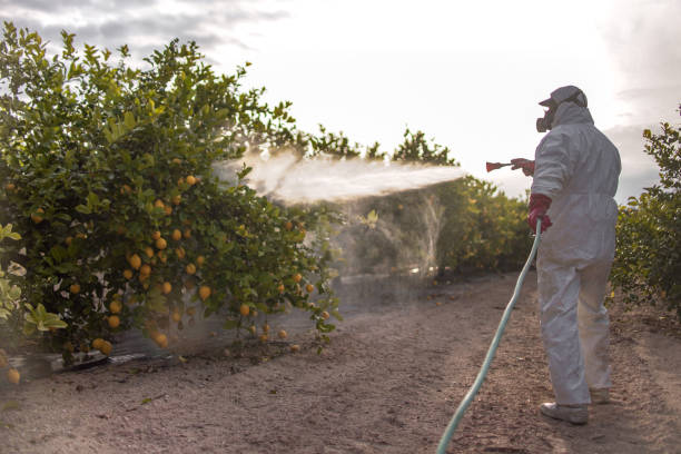 Best Best Pest Control Companies  in Governors Village, NC