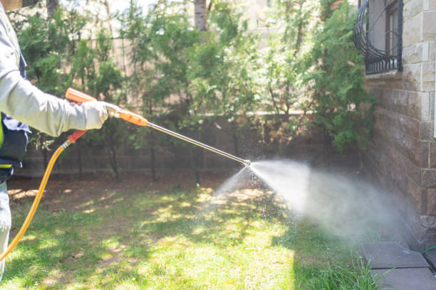 Best Mosquito Control Services  in Governors Village, NC