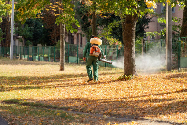 Best Flea Control Services  in Governors Village, NC