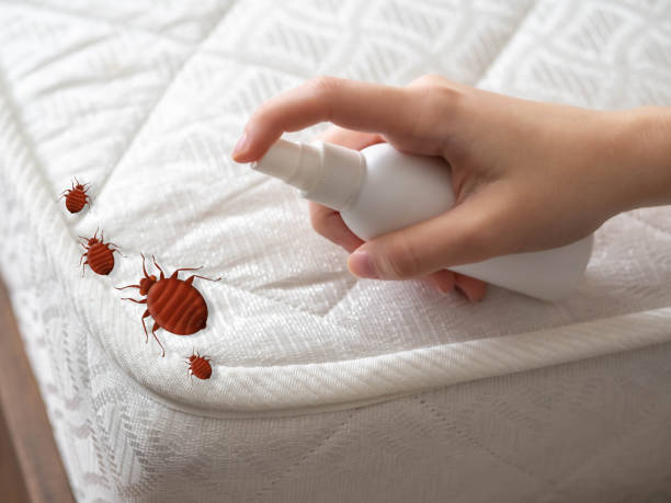 Pest Prevention Services in Governors Village, NC