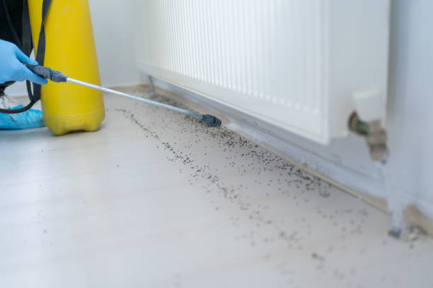 Best Pest Inspection Near Me  in Governors Village, NC