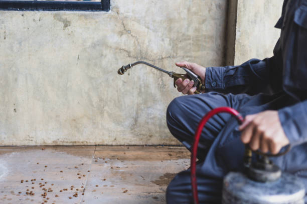 Best Affordable Pest Control Services  in Governors Village, NC