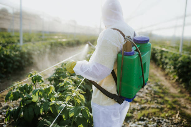 Best Pest Removal Services  in Governors Village, NC